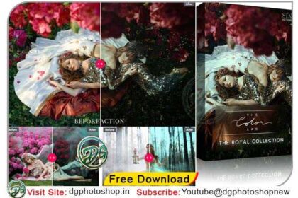 THE ROYAL COLLECTION Photoshop Action
