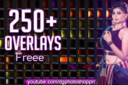 250+ Dreamy Light Leak Bokeh Bundle