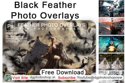 Black Feather Photoshop Overlay PNG