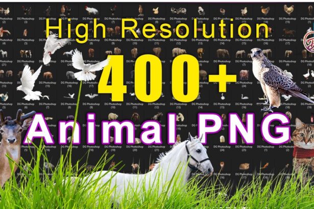 Free High Resolution 400+ Animal PNG Pack Free Download