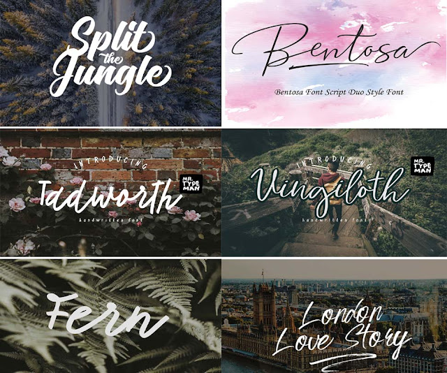 170+ Photography Signature Fonts (3)