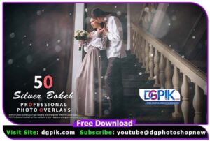 50 Silver Bokeh Photo Overlays