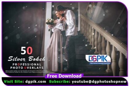50 Silver Bokeh Photo Overlays