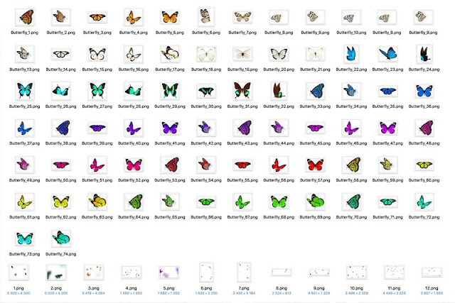 86 Butterflies Photo Overlays