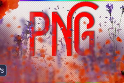 Love Overlays in PNG For Photography