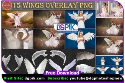 15 White Angel Wings Overlays PNG