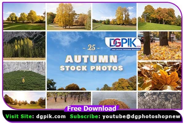 25 Autumn Stock Photo Pack