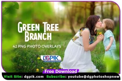 42 Green Tree Branch Photo Overlays