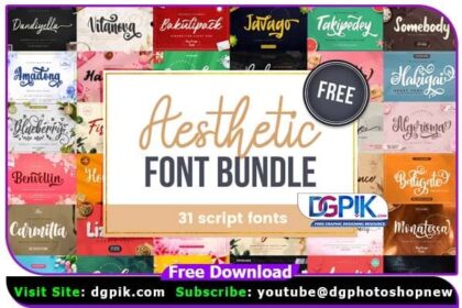 31 Aesthetic Font Bundle