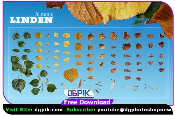 Autumn Leaves Rain Linden PNG Layers