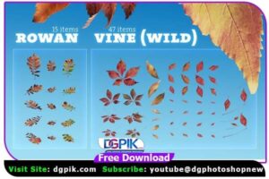 Autumn Leaves Rain Vine PNG Layers