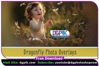 Dragonfly Photo Overlays