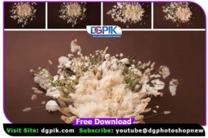 Dreamer New Born Girl Backdrop Collection