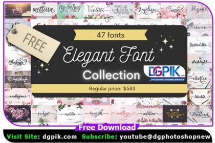 Elegant Font Collection Bundle
