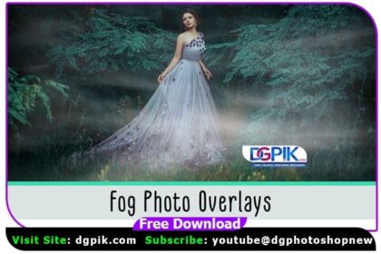 Fog Photo Overlays
