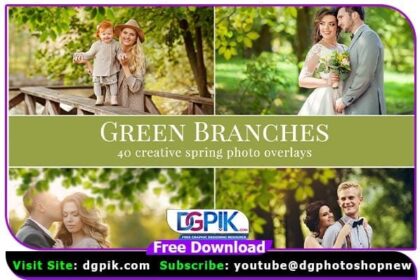 Green Branches Photo Overlays