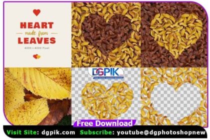 Heart Made From Leaves