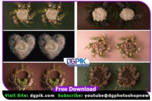 New Born Twins Digital Backdrop Bundle