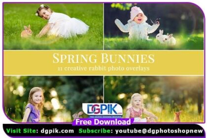Spring Bunnies Photo Overlays