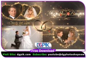 Wedding Package After Effect Project