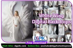 White Wing Abstract Digital Backdrops