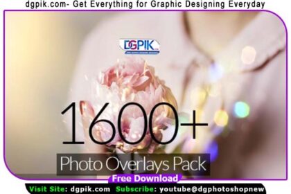 1600 Photo Overlays Bundles.
