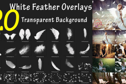 20 White Feather Overlays Png Transparent