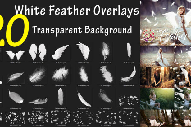 20 White Feather Overlays Png Transparent