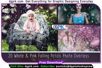 20 White & Pink Flower Petal Photo Overlays.
