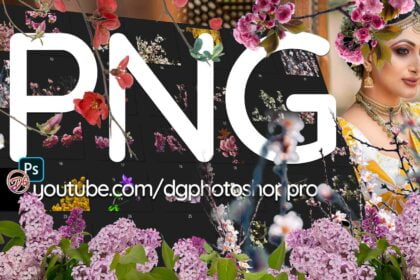 35 Blooming Branch Overlays Png
