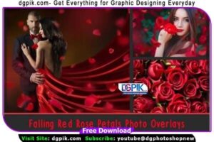 41 Falling Rose Petals Photo Overlays