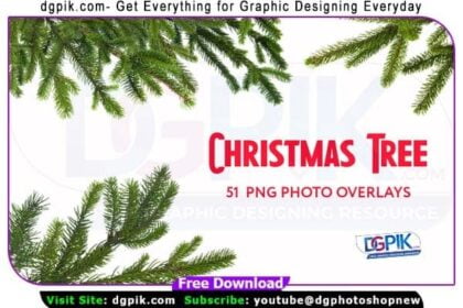 51 Christmas Tree Brunch Overlays