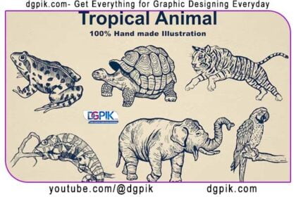 Hand Drawn Tropical Animal