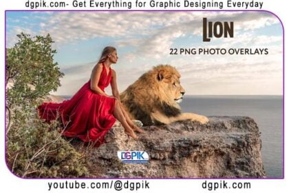 22 Lion PNG Photo Overlays