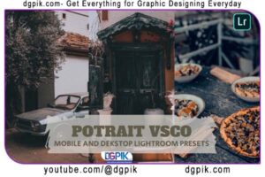 Potrait VSCO Lightroom Presets Dekstop and Mobile