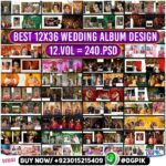 Best Vidhi 12X36 Wedding Album Design 12VOL 240PSD Pack