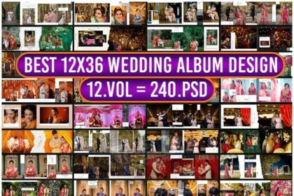 Best Vidhi 12X36 Wedding Album Design 12VOL 240PSD Pack