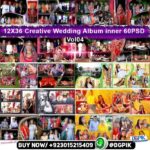 Vol-04= 12X36 Creative Wedding Album inner 60 PSD