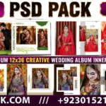 DGPik.com Premium 12x36 Creative Wedding Album inner Design 130 PSD Vol01 (1)